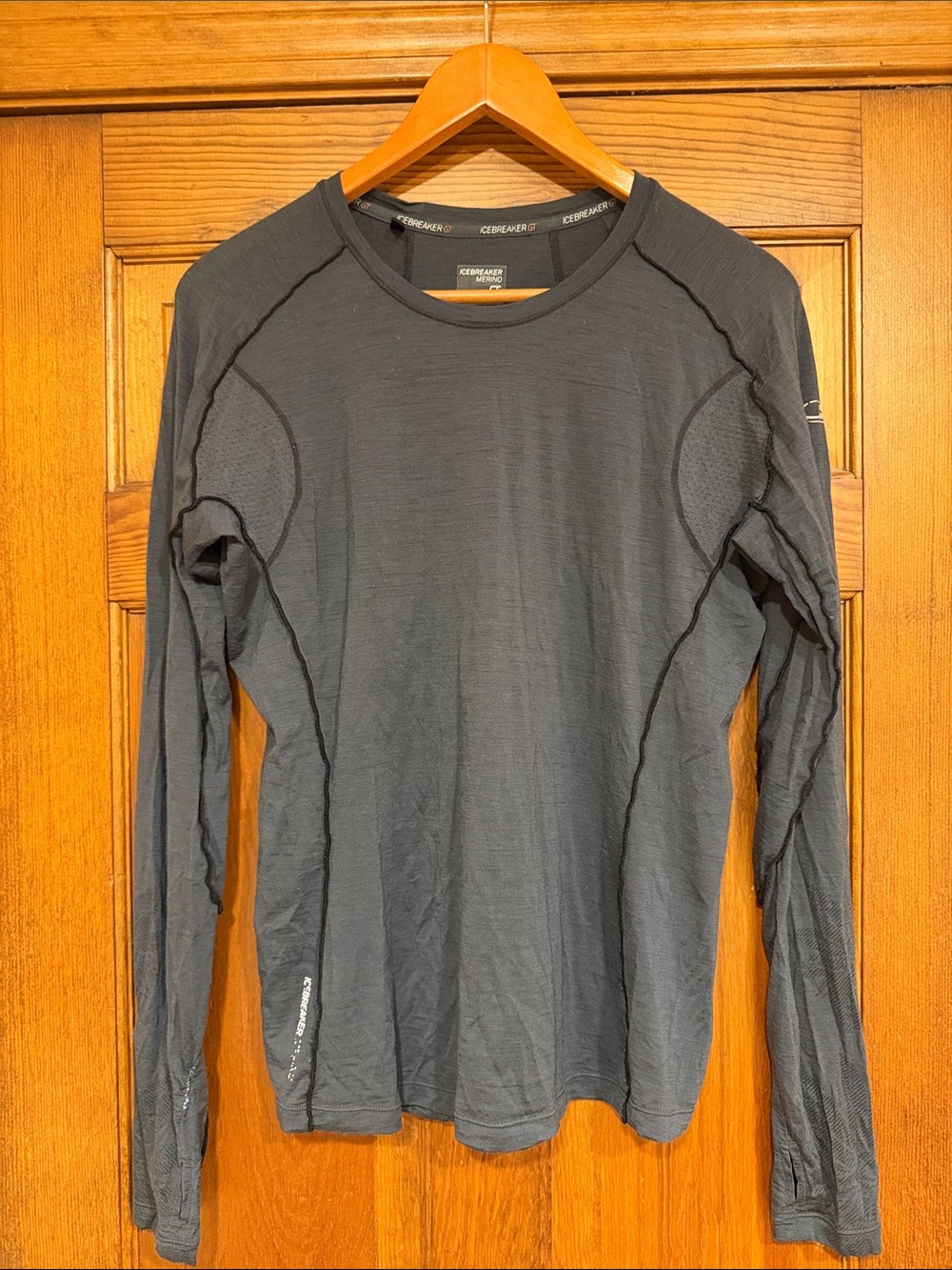 Icebreaker Long-Sleeve Merino Shirt